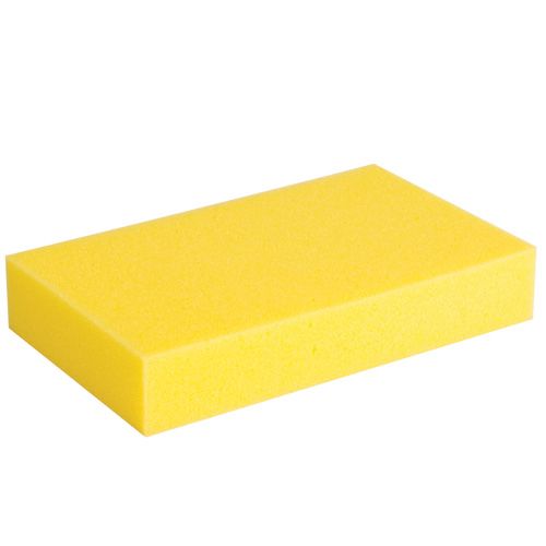 Large Sponge